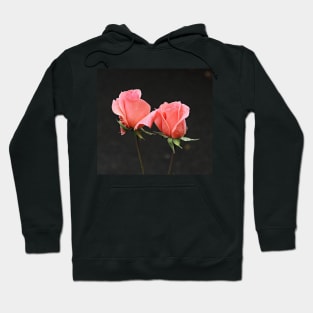 In Perfect Harmony Hoodie